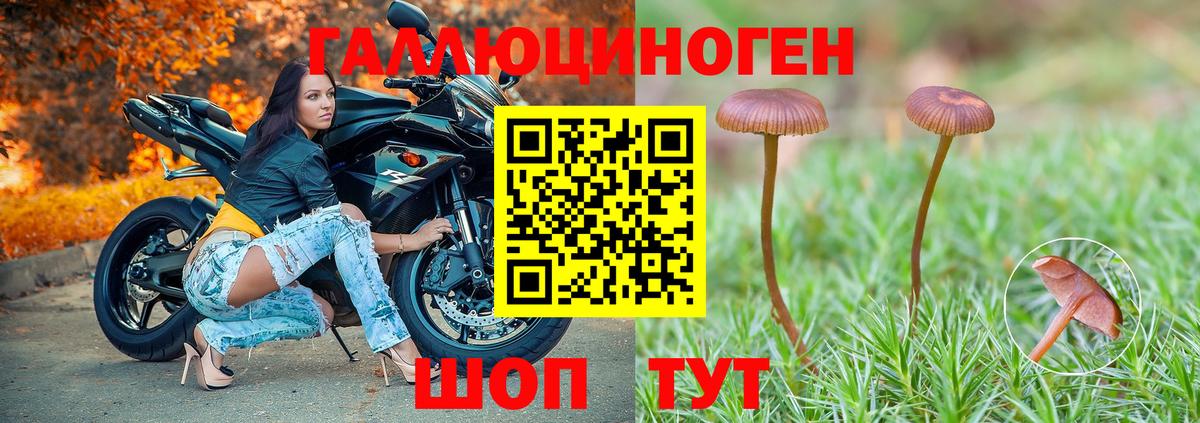 Сыктывкар  что такое   Вход с VPN  Псилоцибиновые грибы прущие грибы 